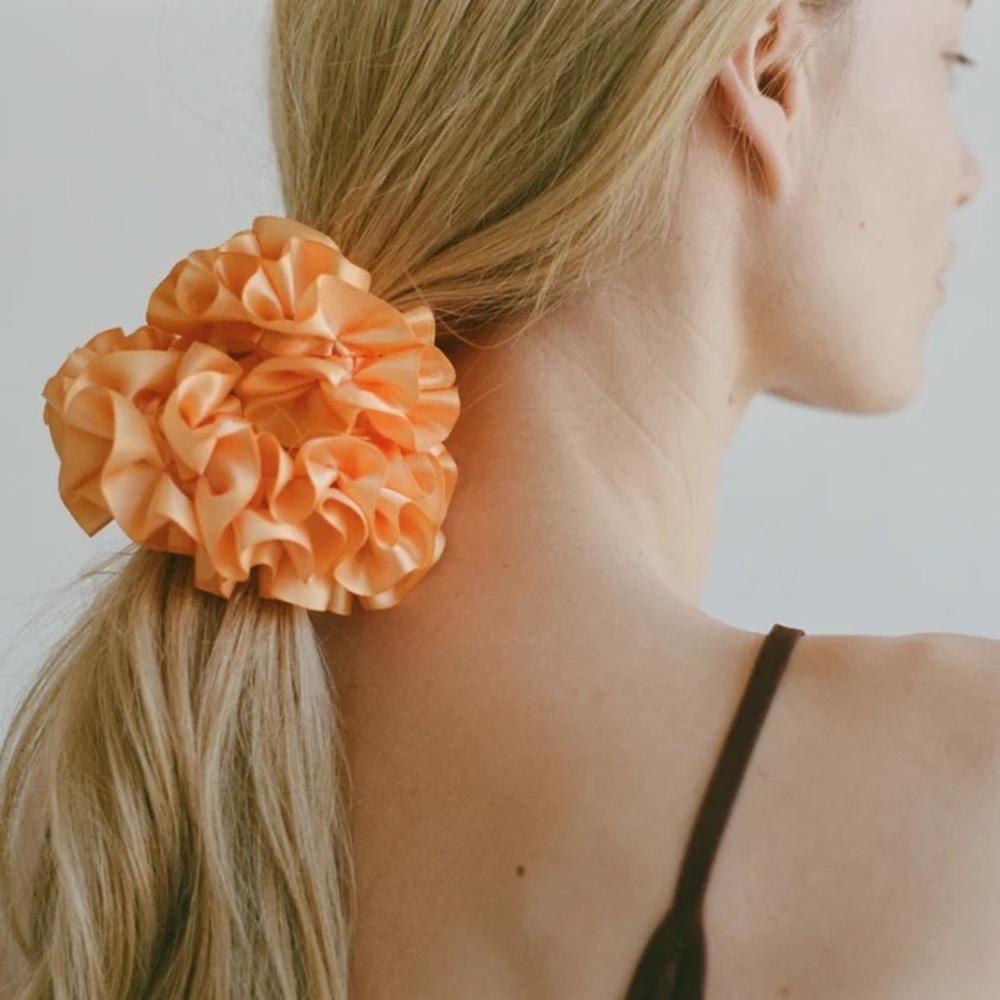 Maryam Nassir Zadeh Carnation Scrunchie NWT SHERBERT